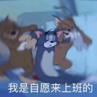虎年的第1个工作日，元气满满开工啦！