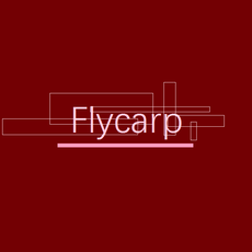 Flycarp