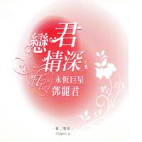 邓丽君# 恰似你的温柔（原版立体声伴奏）