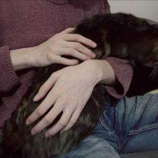 神秘危险的歌单