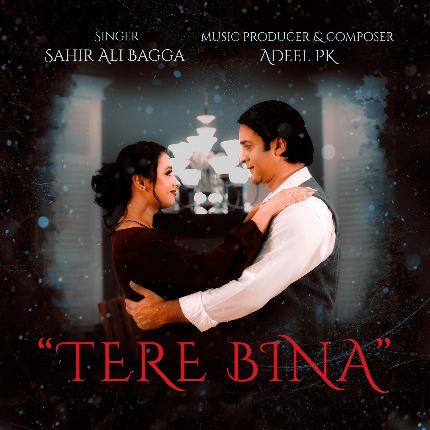 Sahir Ali Bagga - Tere Bina