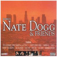 These Days - Nate Dogg ft. Daz Dillinger (instrumental)