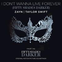 ZAYN and Taylor Swift - I Don't Wanna Live Forever (Karaoke Version) 带和声伴奏