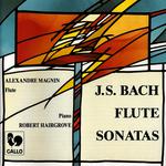 Flute Sonata in E-Flat Major, BWV 1031: I. Allegro moderato