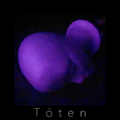 Töten