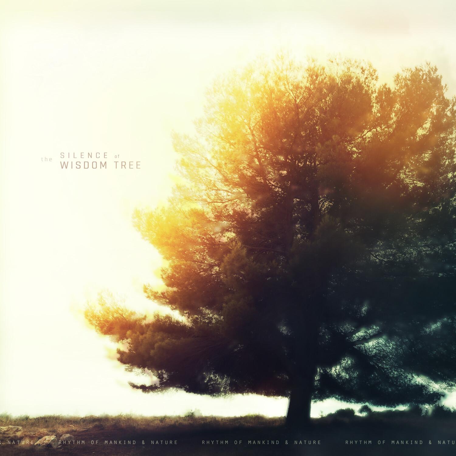 The Silence of the Wisdom Tree