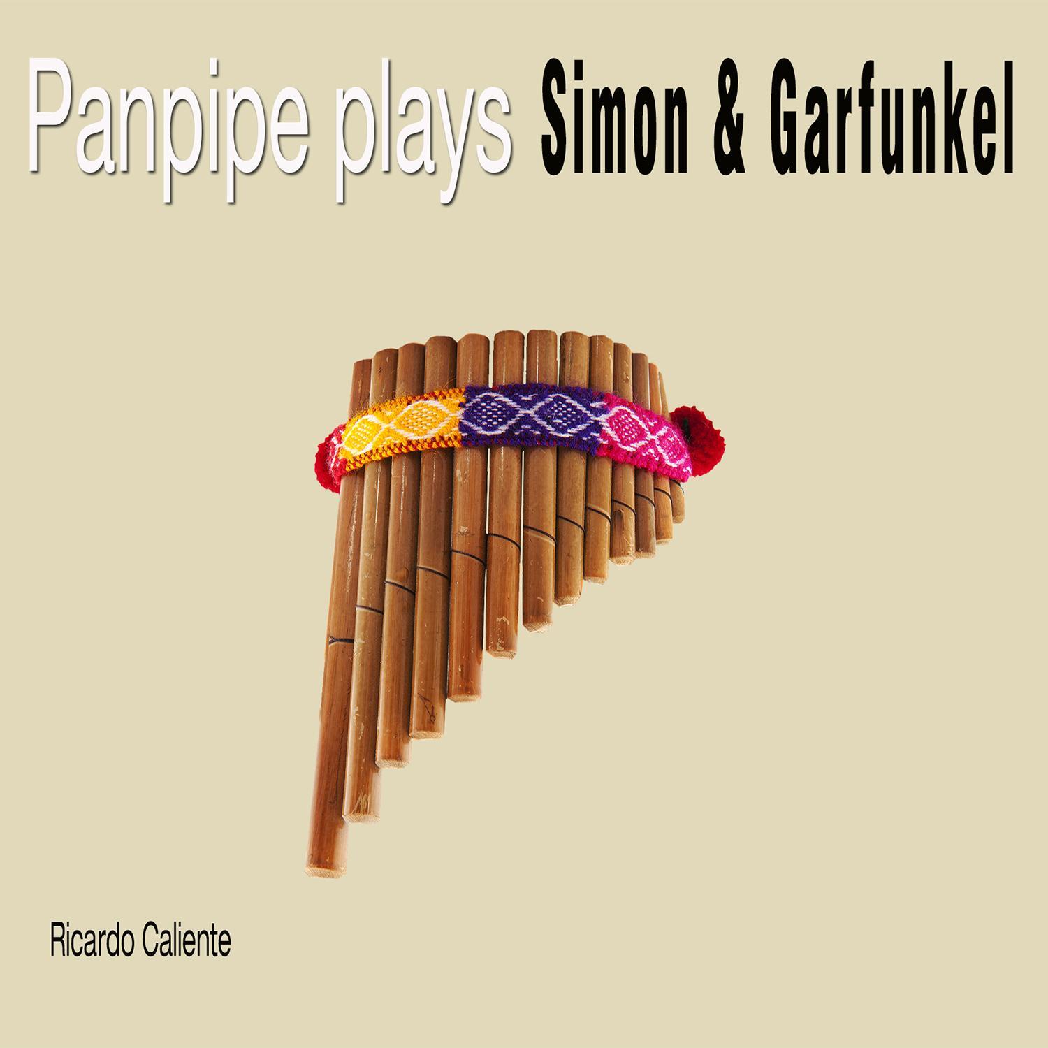 Panpipe Plays Simon & Garfunkel