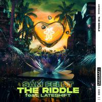Sam Feldt ft Lateshift - The Riddle (Radio Edit) (Instrumental) 原版无和声伴奏