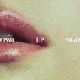 Lip