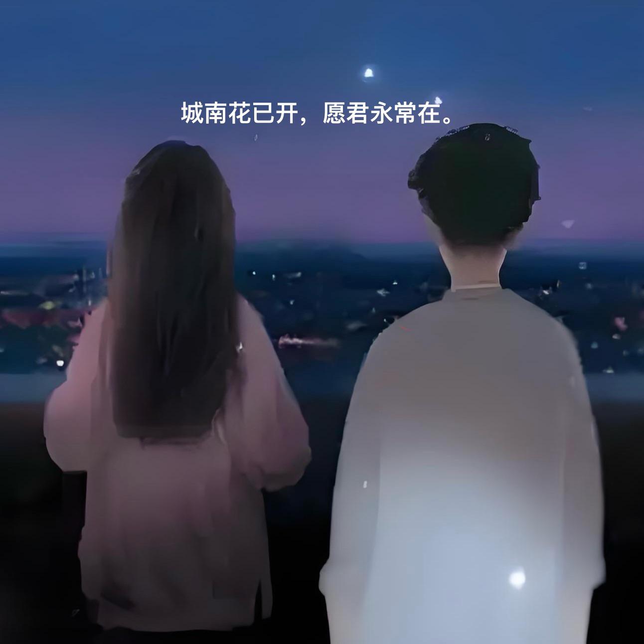 城南花已开