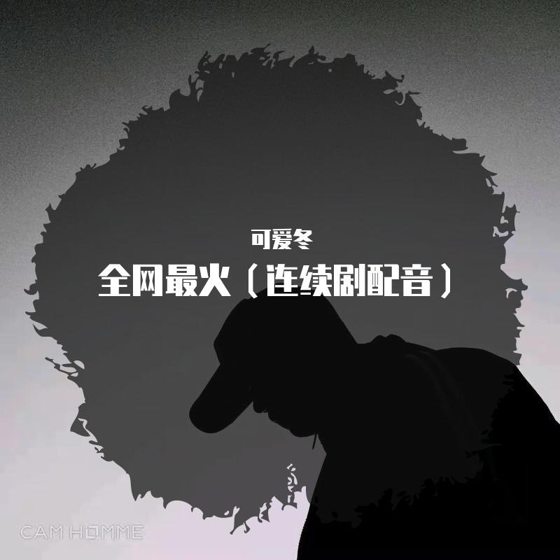 全网最火（连续剧配音）
