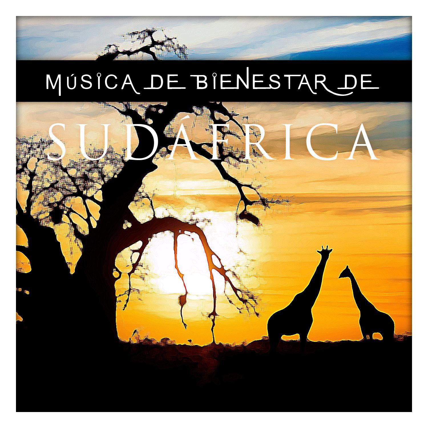 Música de Bienestar de Sudáfrica专辑