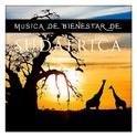 Música de Bienestar de Sudáfrica专辑