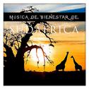 Música de Bienestar de Sudáfrica专辑