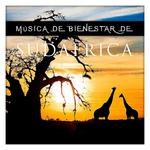 Música de Bienestar de Sudáfrica专辑