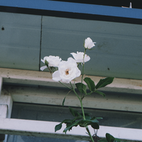 [DJ节目]原来是二智的DJ节目 第239期
