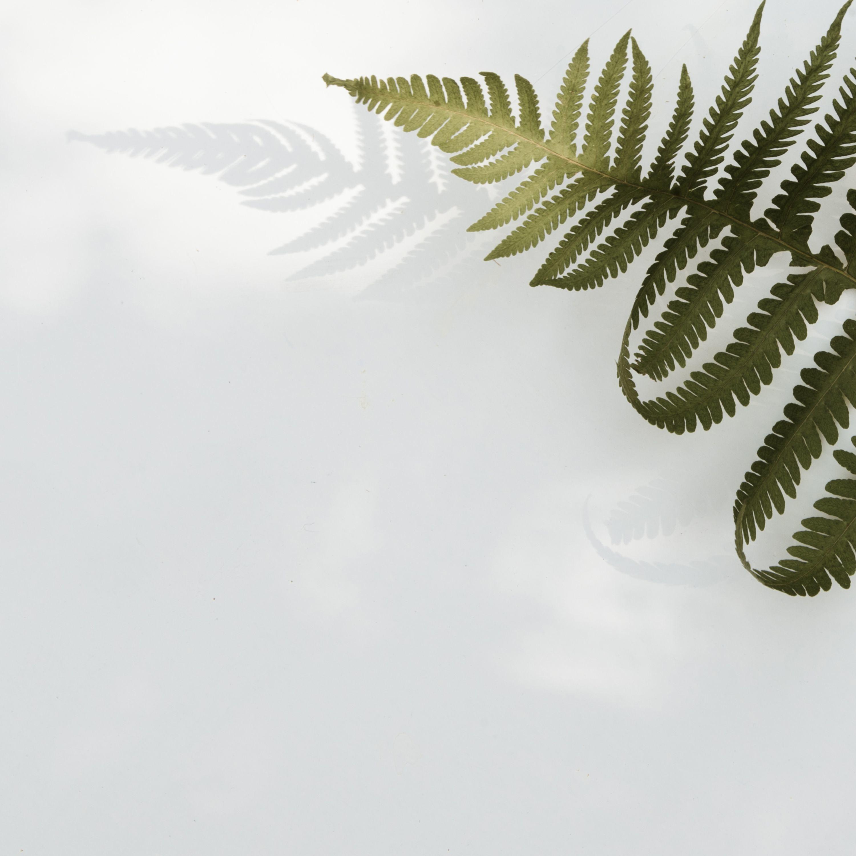 Essential Sleepy Ambient Songs