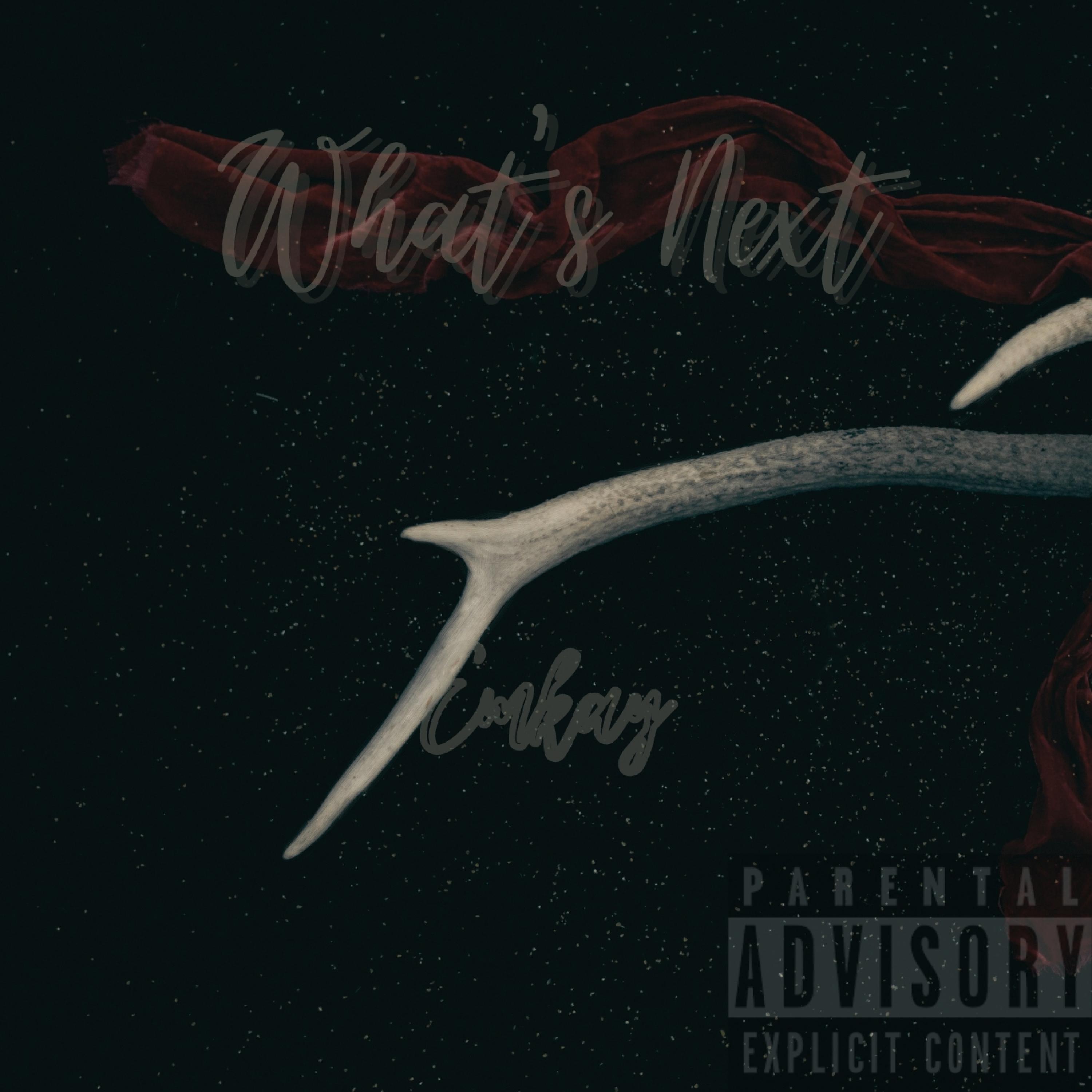 What's Next?