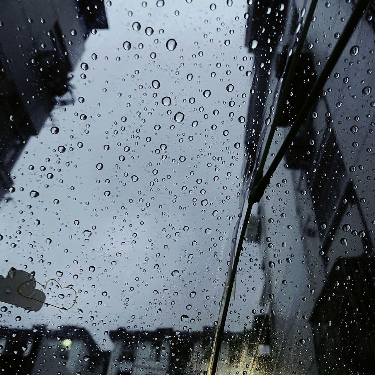 就让这大雨全都落下