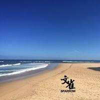 海岸-张愚歌,陈近南,姜云升,Landuo懒惰,圣代