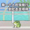 旅行青蛙 夏天酱8bit改编