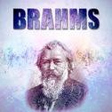 Brahms专辑
