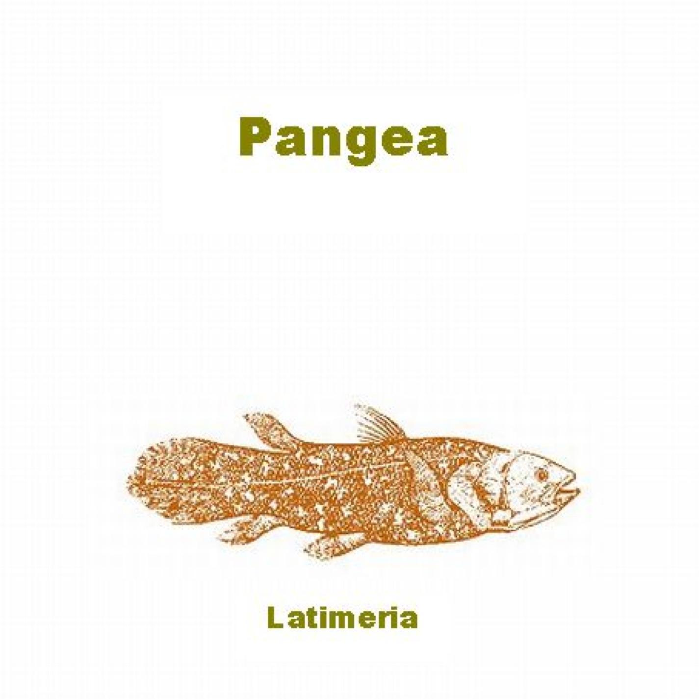 Pangea - Comet