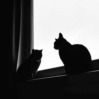 华语｜黑夜里孤单肆意扩散