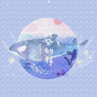 大柯，锦零，程嘉敏，黑猫，王舒，鱼骨妹