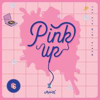 Apink - FIVE(Official Inst.)