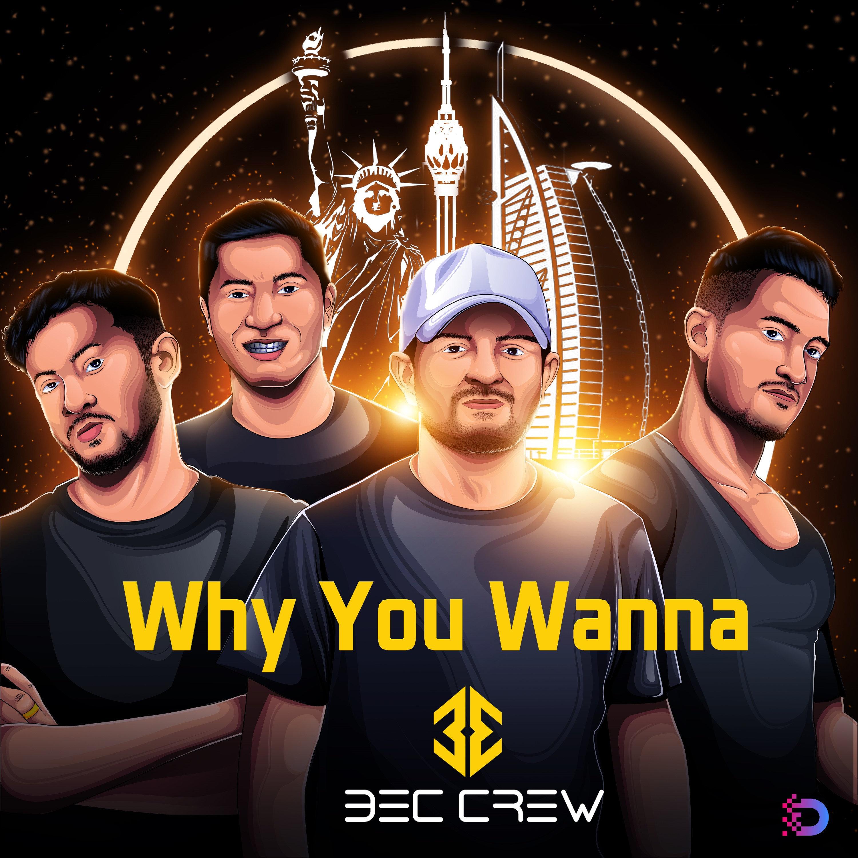 Why You Wanna