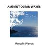 Ema Smith Melodic Nature Noise - The Beach Waves