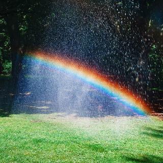 治愈励志｜愿你未来一路缤纷如虹