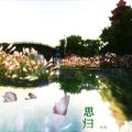 思归
