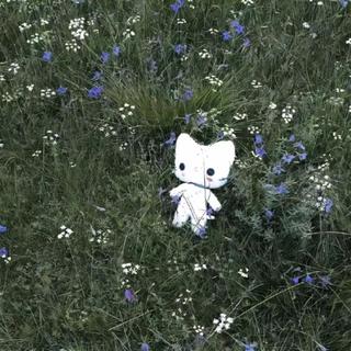 回忆像湖面，旋律荡起旧涟漪