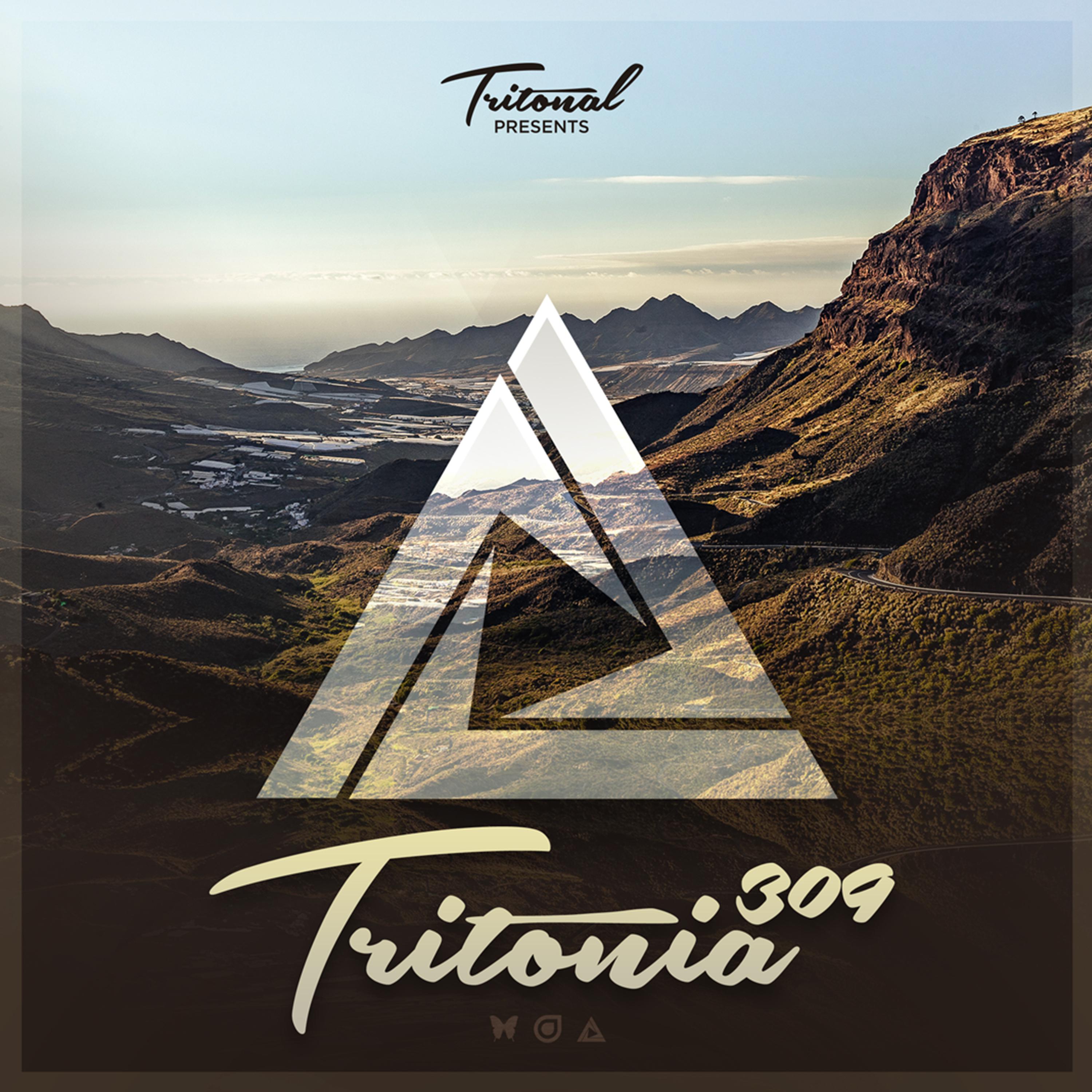 Tritonal - Someone To Love You (Tritonia 309) (Koven Remix)