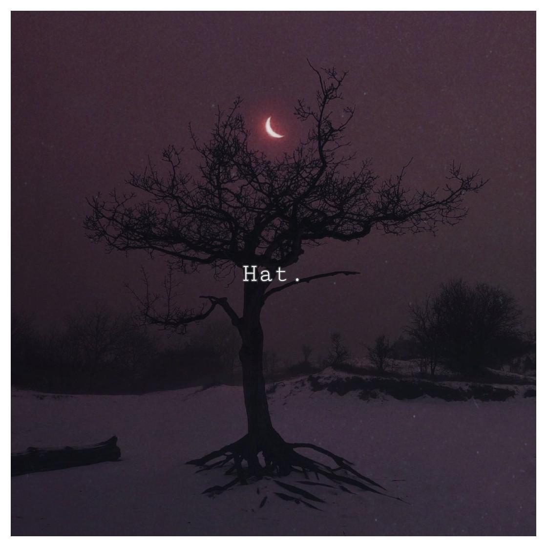 Hat/信