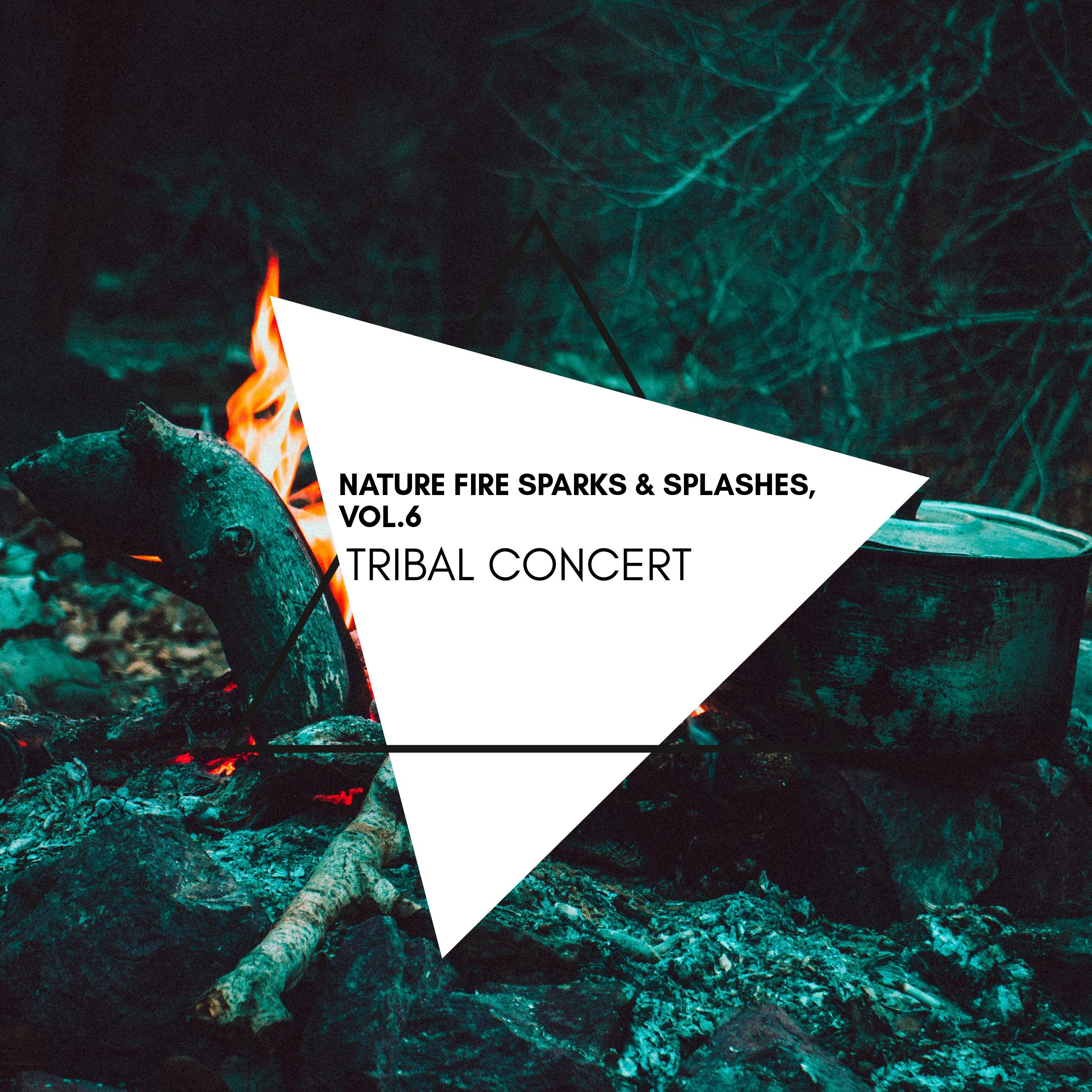 Organica Flames 9D Fire Sound - The Fire Blaze and Woodland