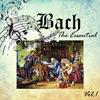 English Suite No. 6 in D minor, BWV 811: IV. Sarabande