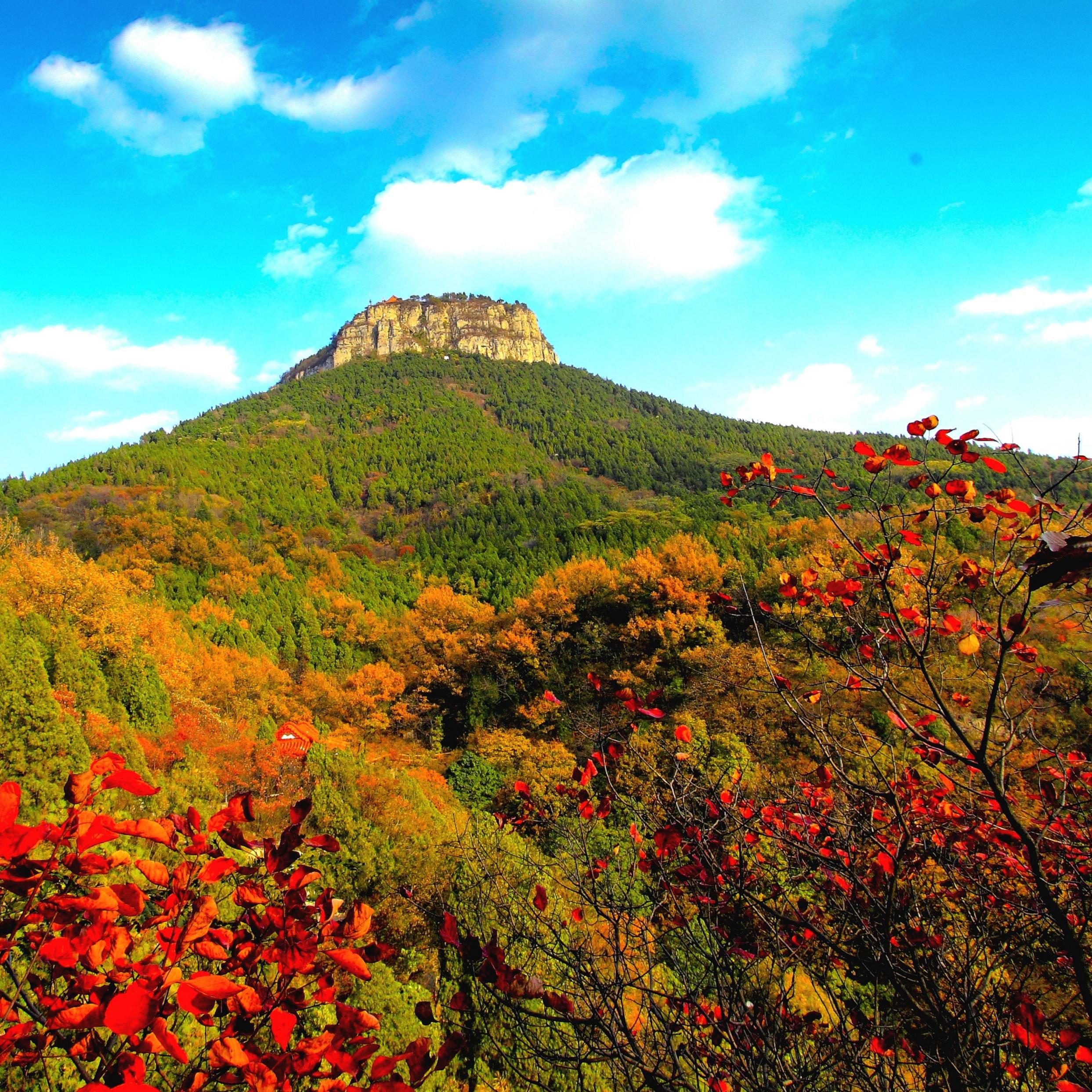 兰陵县山里王风景区图片