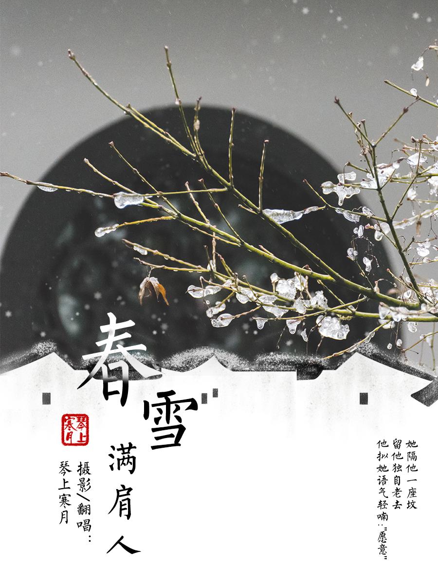 春雪满肩人专辑