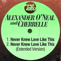 Alexander O Neal - Never Knew Love Like This (instrumental)