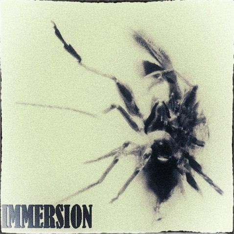 Immersion