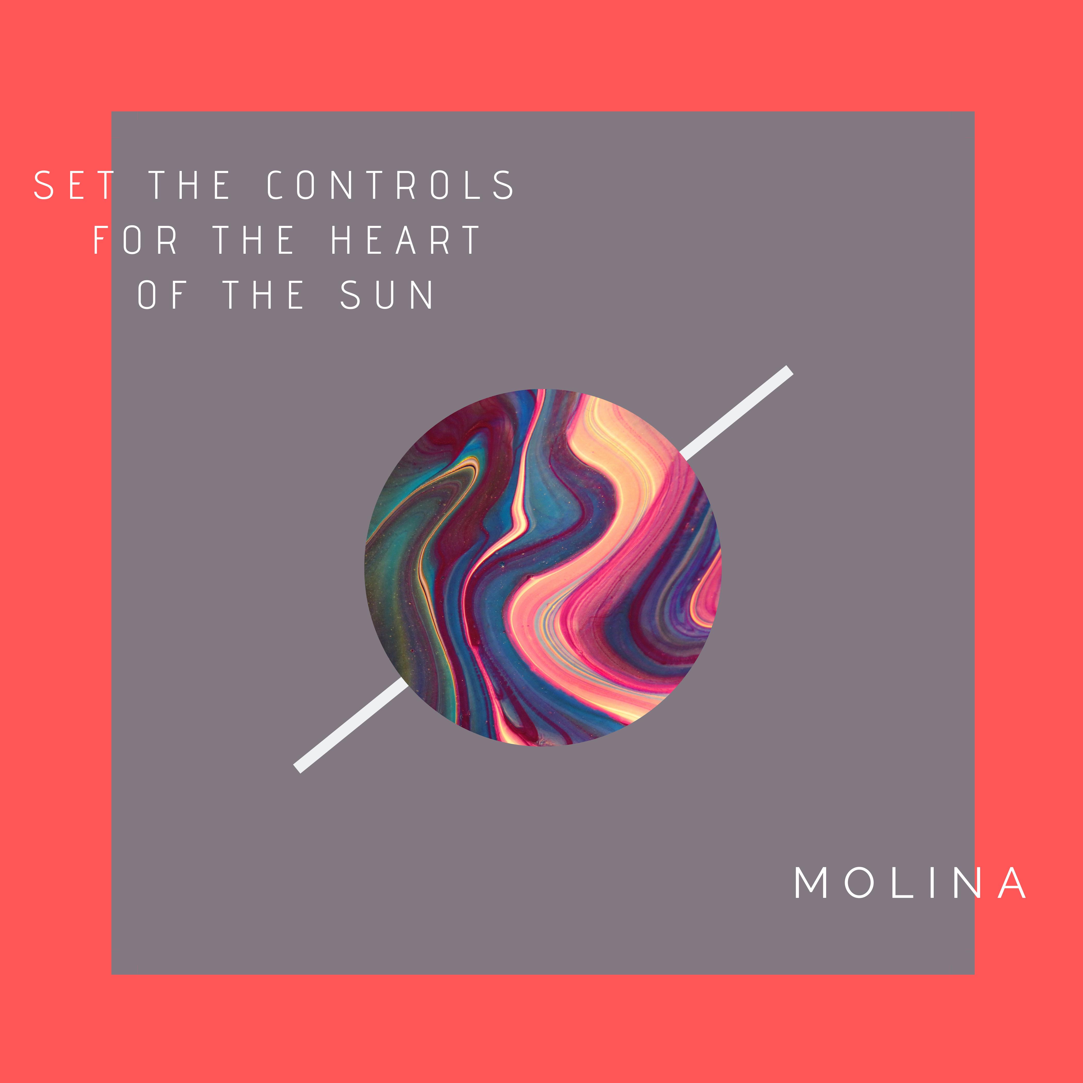 Set The Controls For The Heart Of The Sun