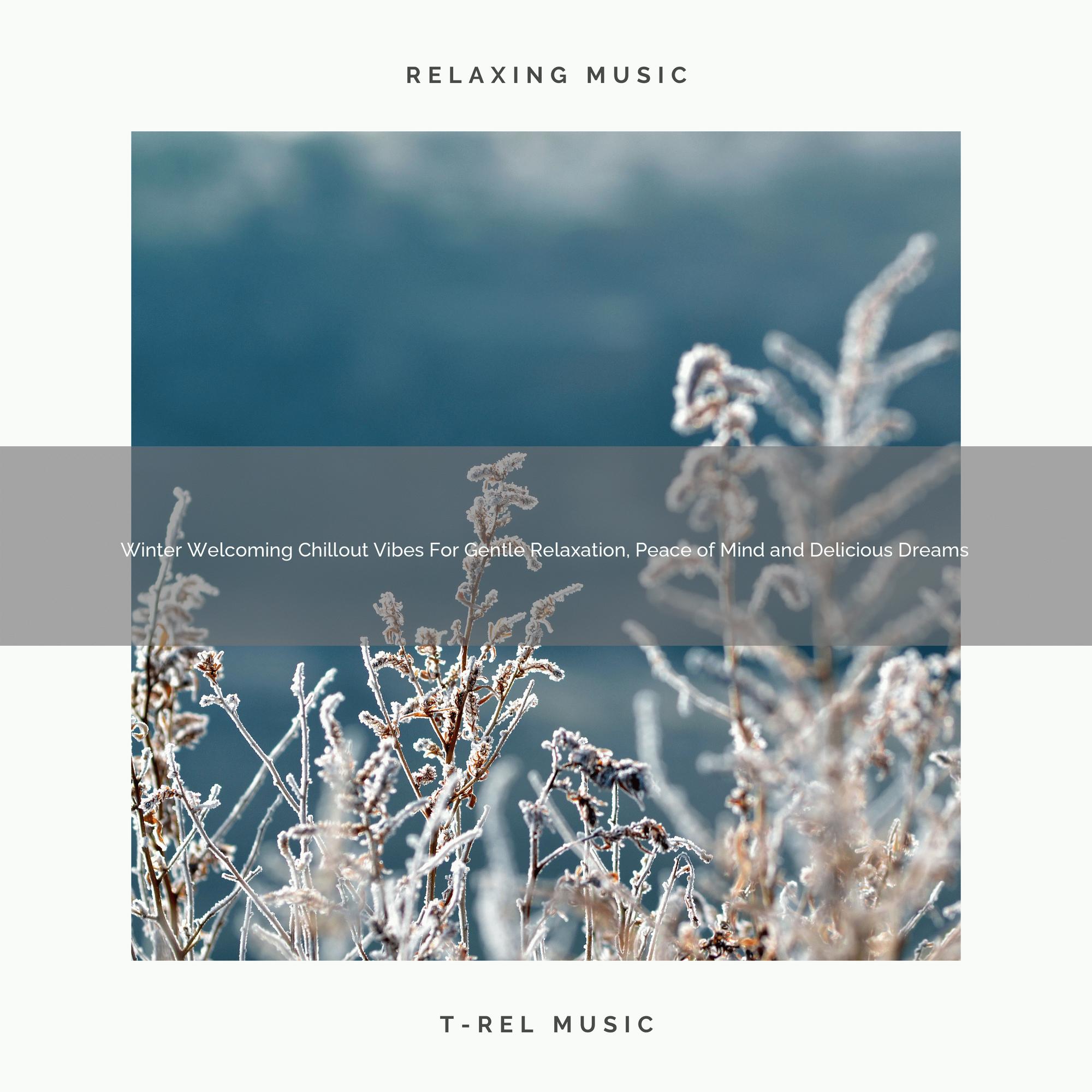 Winter Welcoming Chillout Vibes For Gentle Relaxation, Peace of Mind and Delicious Dreams