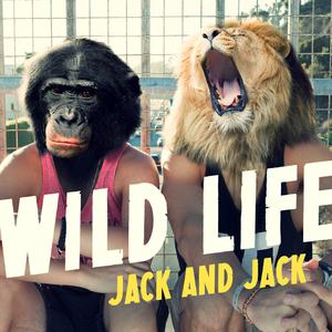 Jack And Jack - Wild Life （升1半音）