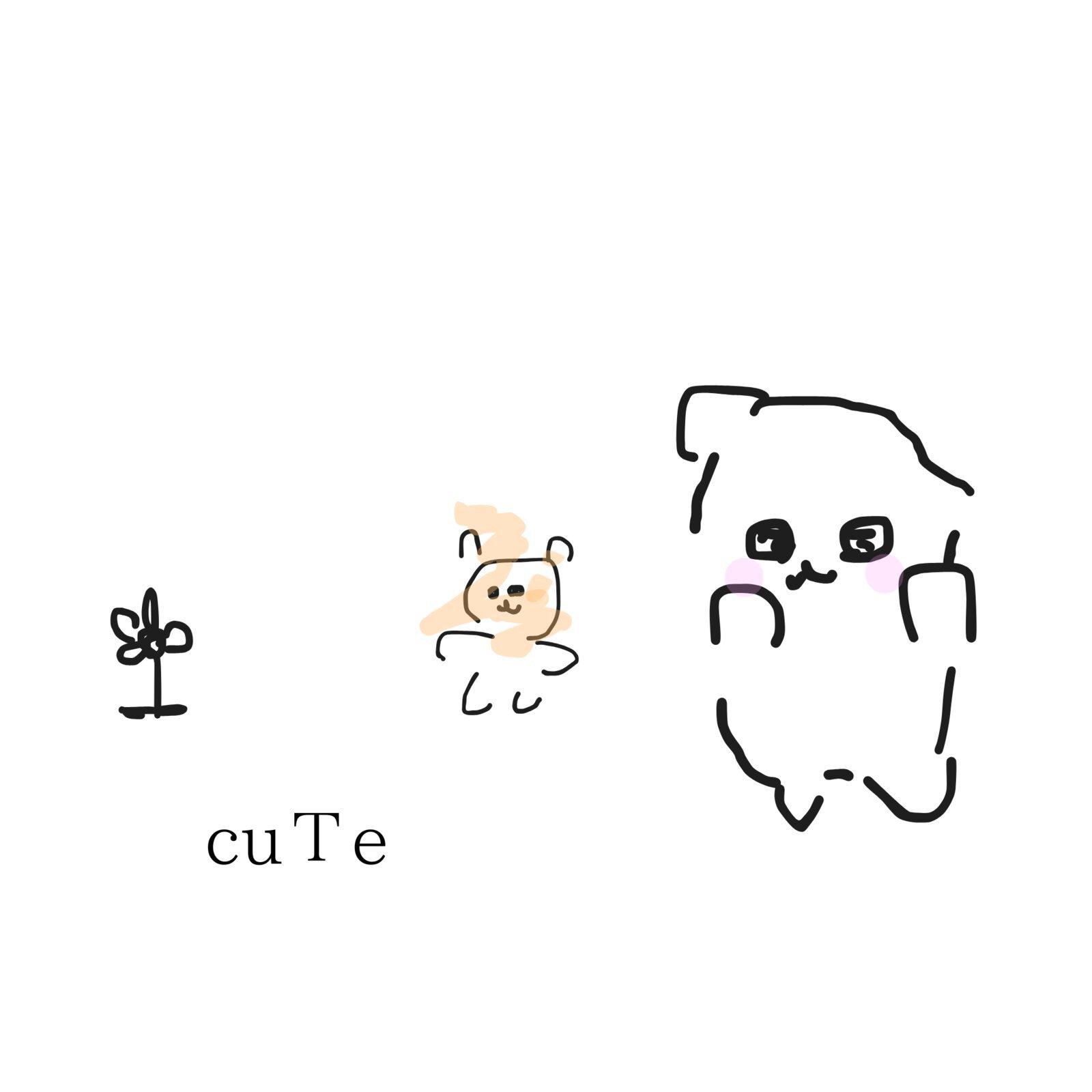 cuTe专辑