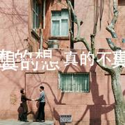 真的想，真的不想