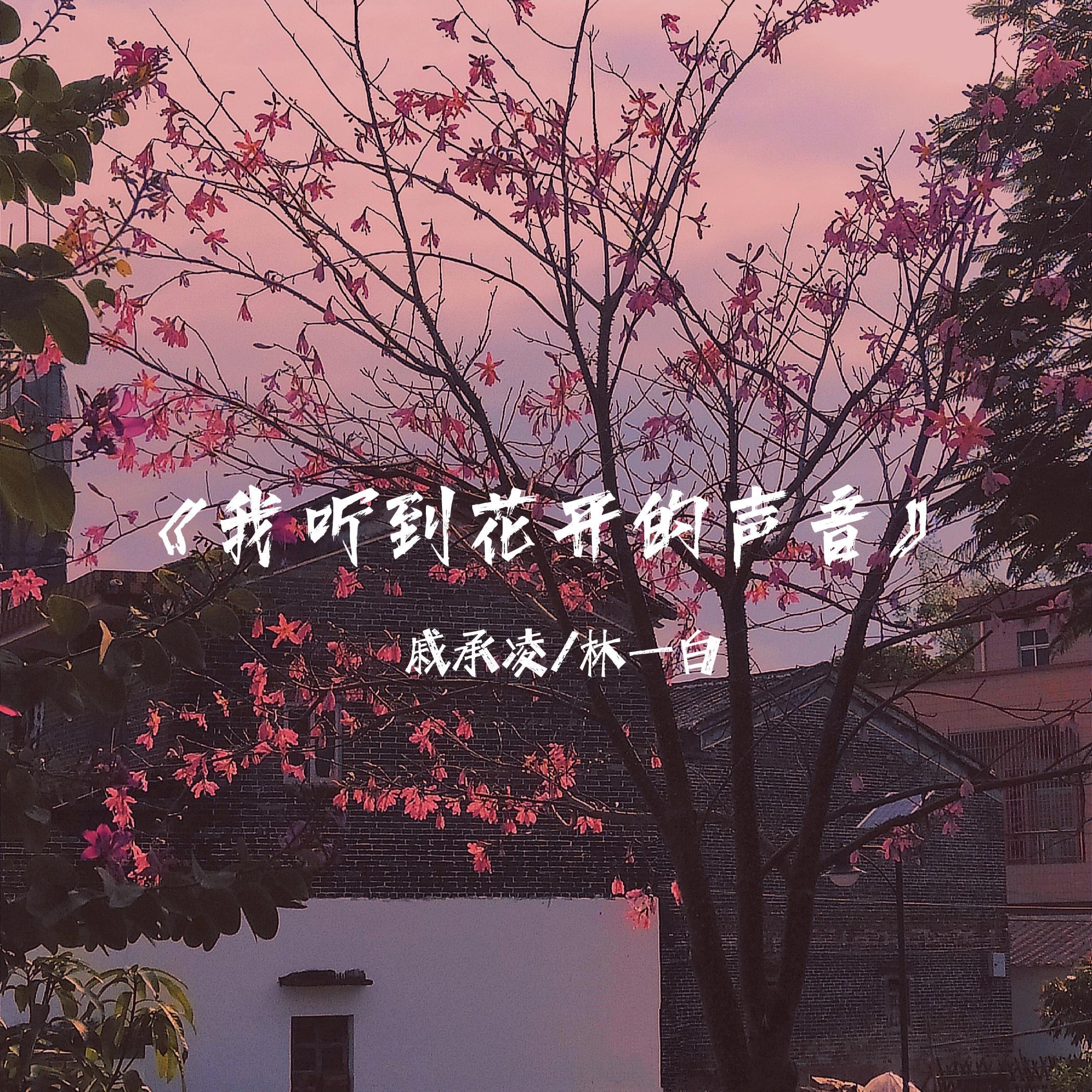 戚承凌 - 我听到花开的声音