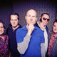 Ryan Shupe & The Rubberband